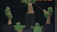 65回26番 クモの巣
