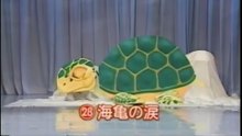 65回28番 海亀の涙