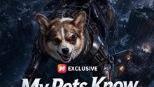 My Pet Know The Apocalypse Script - FULL MOVIES ENGLISH SUB