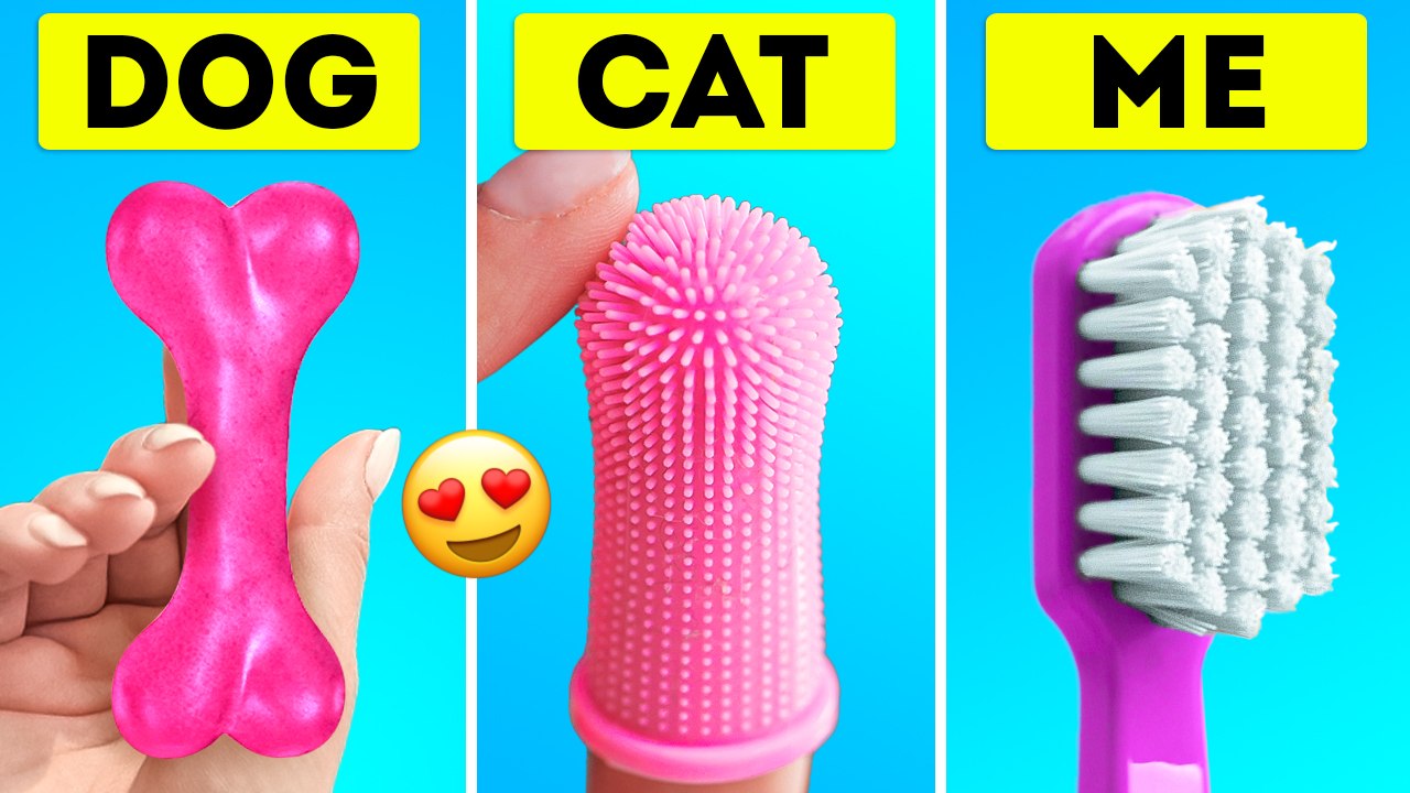 Genius gadgets and DIY pet hacks for your hilarious furry friends