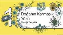 Evren Sandığımız Kadar Düzenli mi? – Atsız Burucu