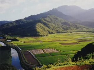 hangi bağın bağbanısan