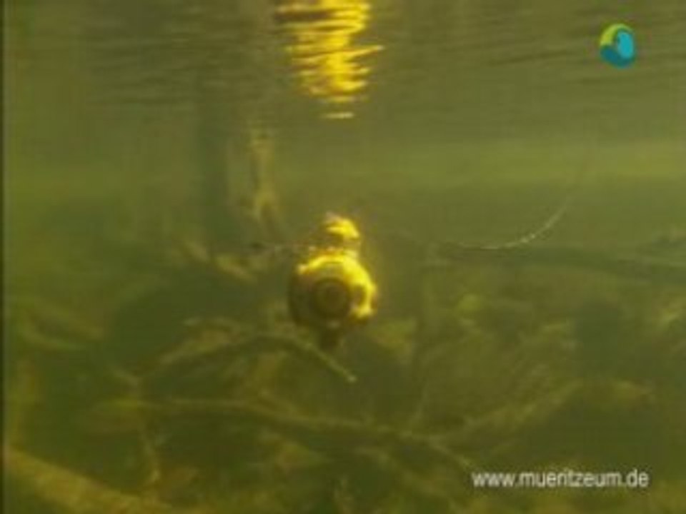 Kapitänleutnant auf dem Mini U-Boot sein