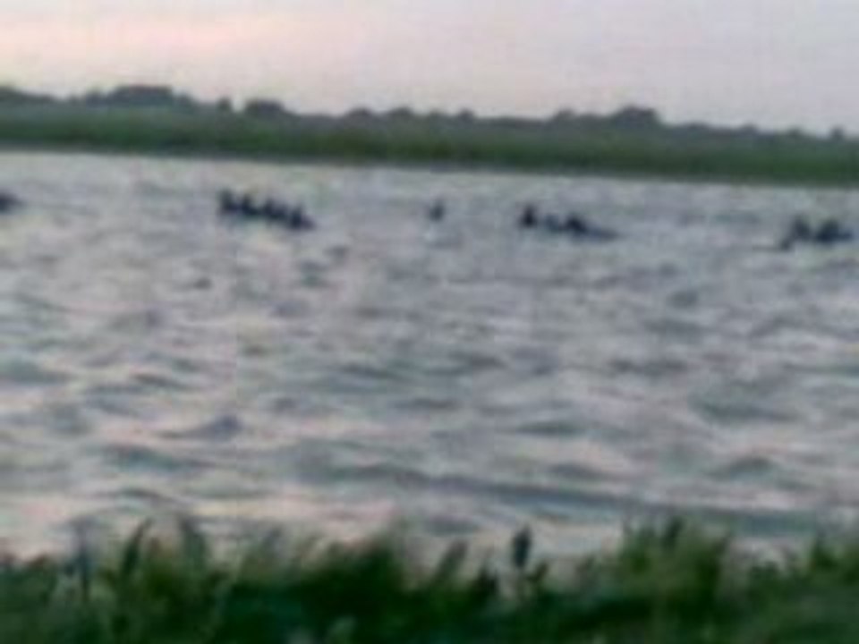 Baie nord