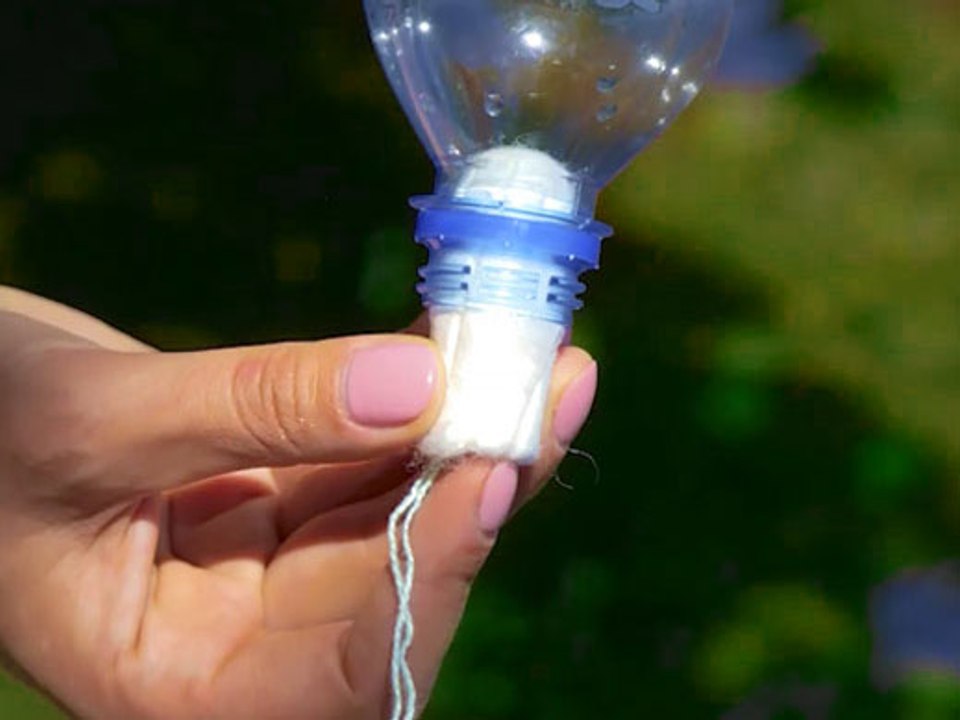 Forest Survival Tricks: Simple Ways to Feel at Home Outdoors