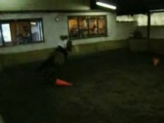 21-07-08 Elisa sur Twist entame sa 1ère partie du spectacle