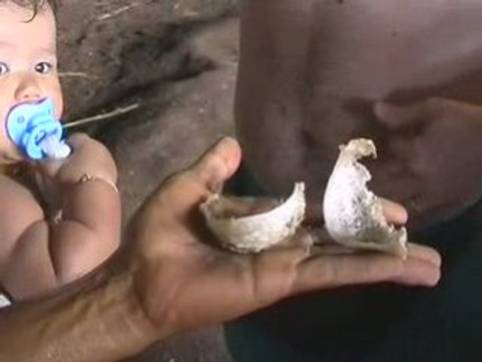 Thaïlande - Découverte du Sud-Est asiatique