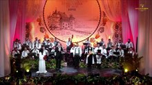 Ciprian Virciu - Premiul al III-lea sectiunea instrumentala (Fest.„Strugurele de aur”  Blaj - 04.09.2026)
