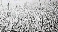 GOLPE DE ESTADO 1955. DERROCAMIENTO DE PERÓN