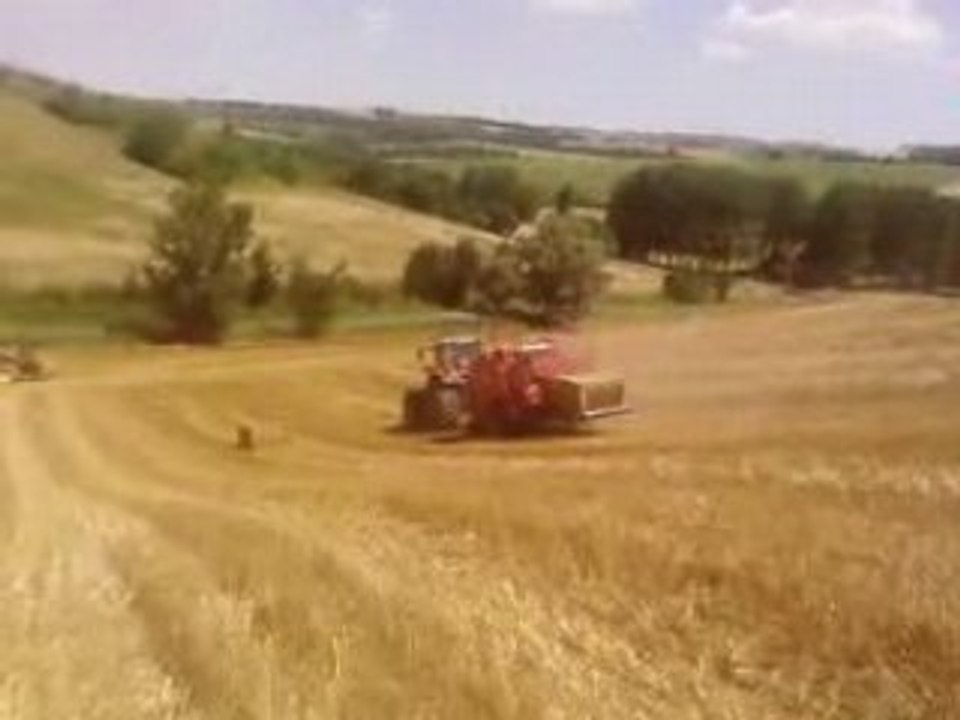 paille 2008