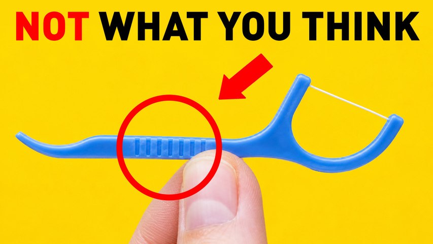 The hidden household part you should throw out right now