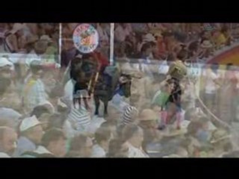 Toros en Berja 4ªParte