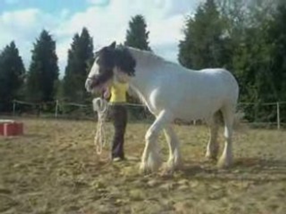 Jeu du cercle liberté