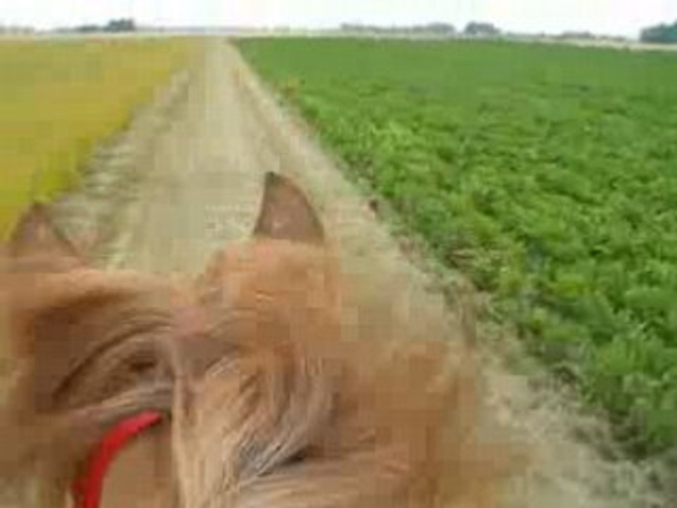 Balade à st Folquin et balade du vendredi 010808 115