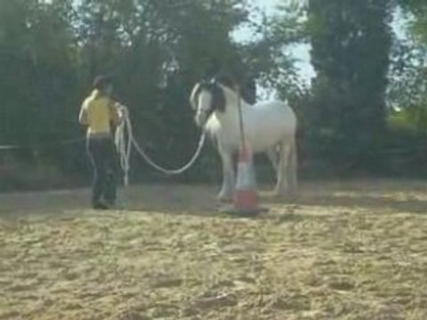 Pas espagnol+pas bougé et viens