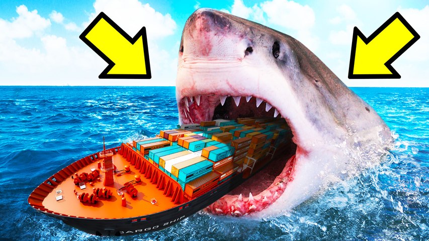 Things you didn't know about Megalodon
