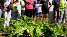 Sujet: Tour des fermes à vélo