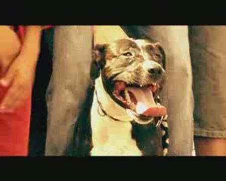 E.S.T. clip rap français On arrive en force by AP