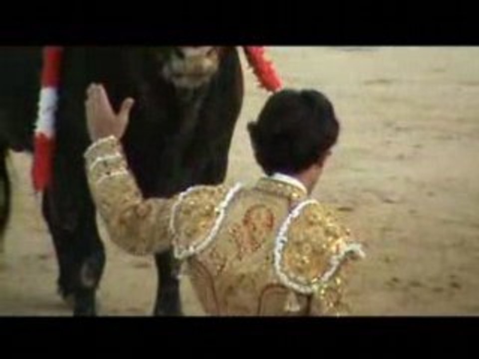 Video de los Toros parte 5