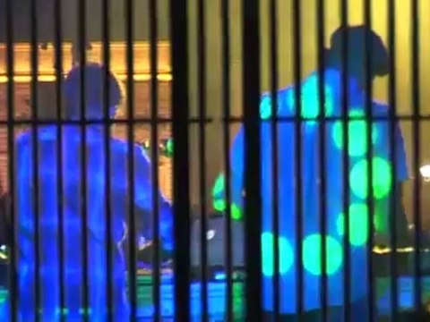 BIRDY NAM NAM ELECTROMIND FESTIVAL 2008