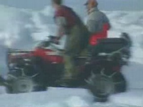 Canadian Seal Hunt Continues Despite Protests