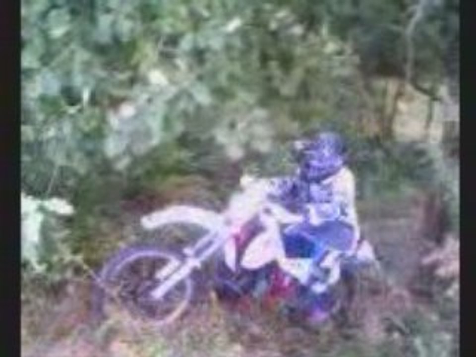 ktm 240 gs Dans le bois