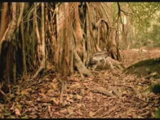 Walking with Prehistoric Beasts - Kyle's mom's a bitch