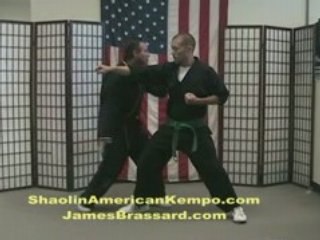 Shaolin Kempo Karate DM Combination 3 Tip - GM Jim Brassard