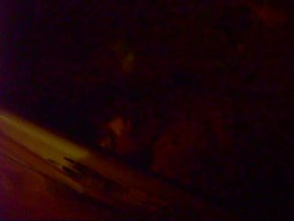 LPIC2599