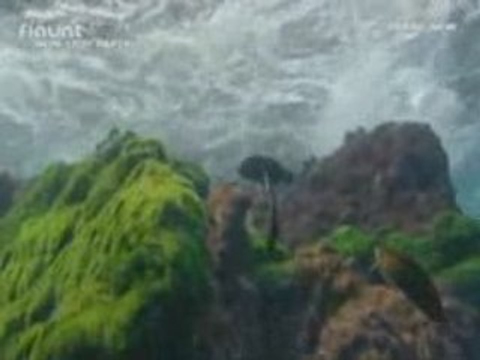 Oceanlab - Miracle