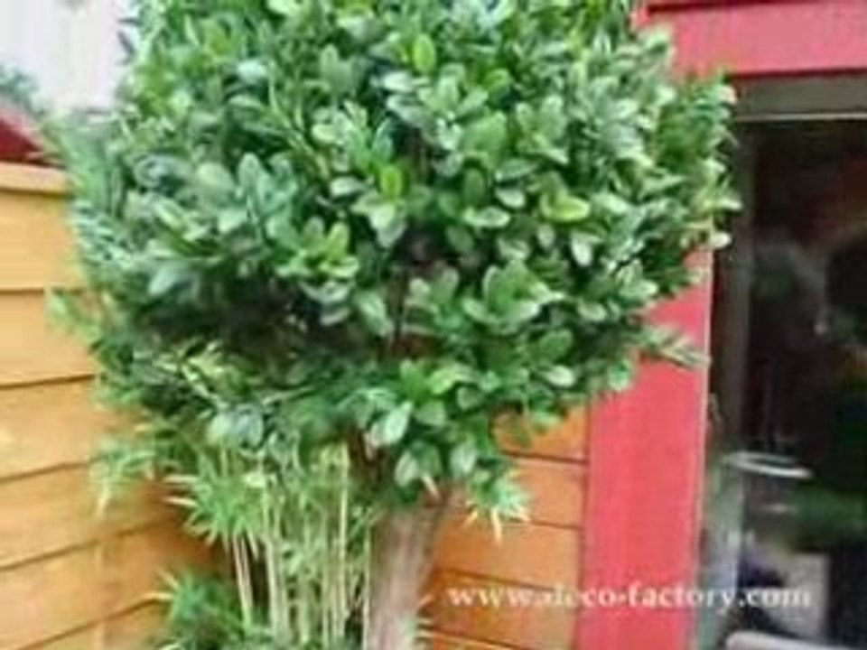 Buis artificiel double boule sur tronc sur Deco Factory