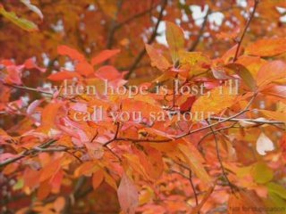 Tim Hughes - When the tears fall