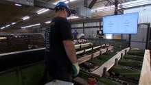 Maximiser chaque morceau de bois grâce à l’intelligence artificielle