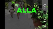 Gli scherzi della pianta finta
