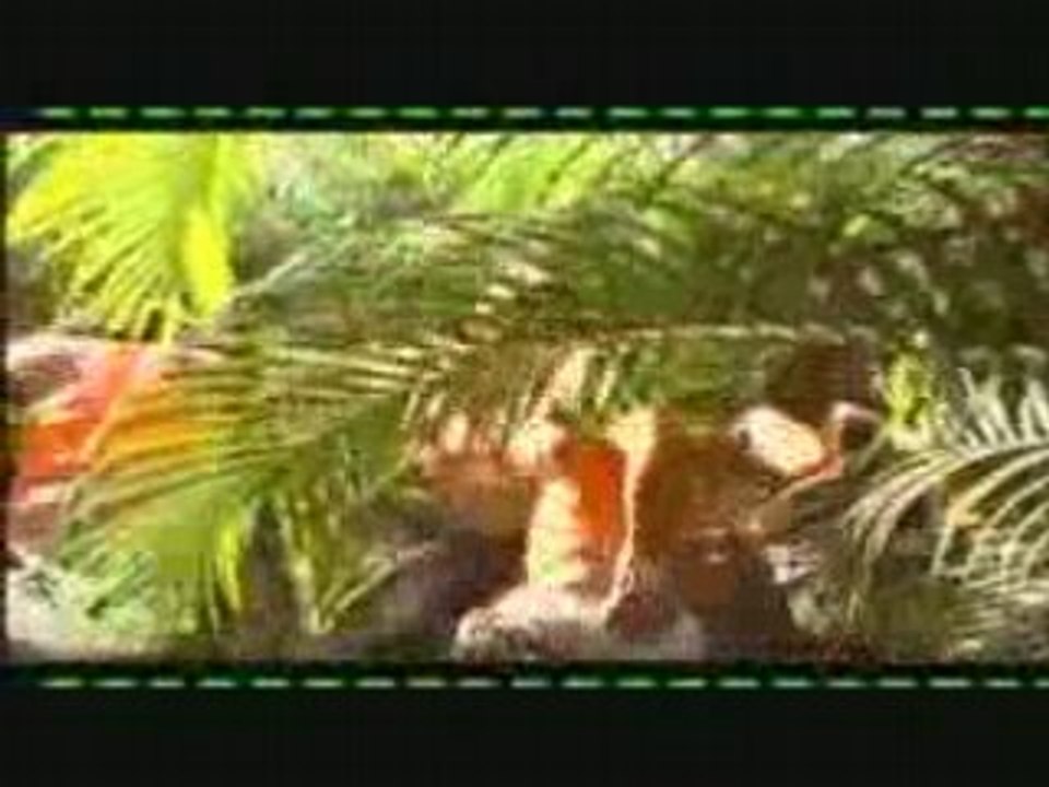 Koffi olomidé bord ezanga kombo LoLo Lo