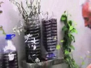 Petit Jardin Écolier - Écologie