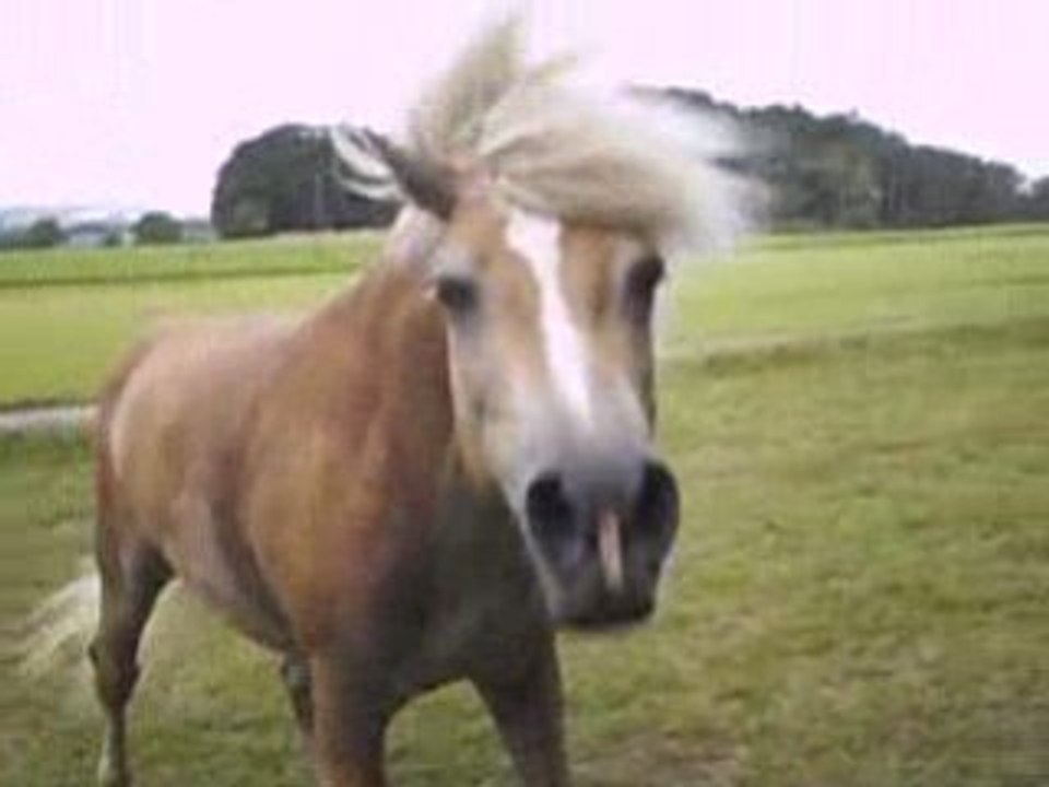 Valentin après boulot