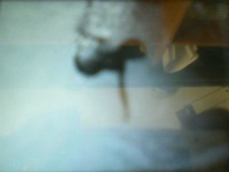 Valence d'agen comme des fous