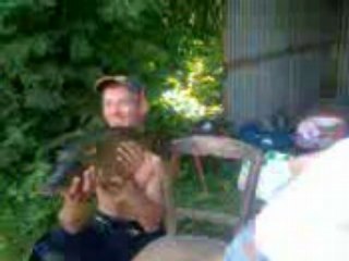 poisson coup de queue