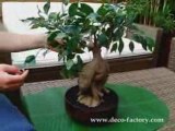 Ficus bonzaï artificiel Banyan en pot