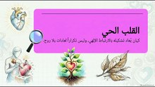 صفة_الصفوة_ومرآة_الروح