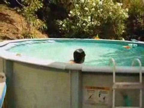 Jeux olympiques : nage libre !