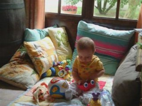 Vacances à Cour-cheverny