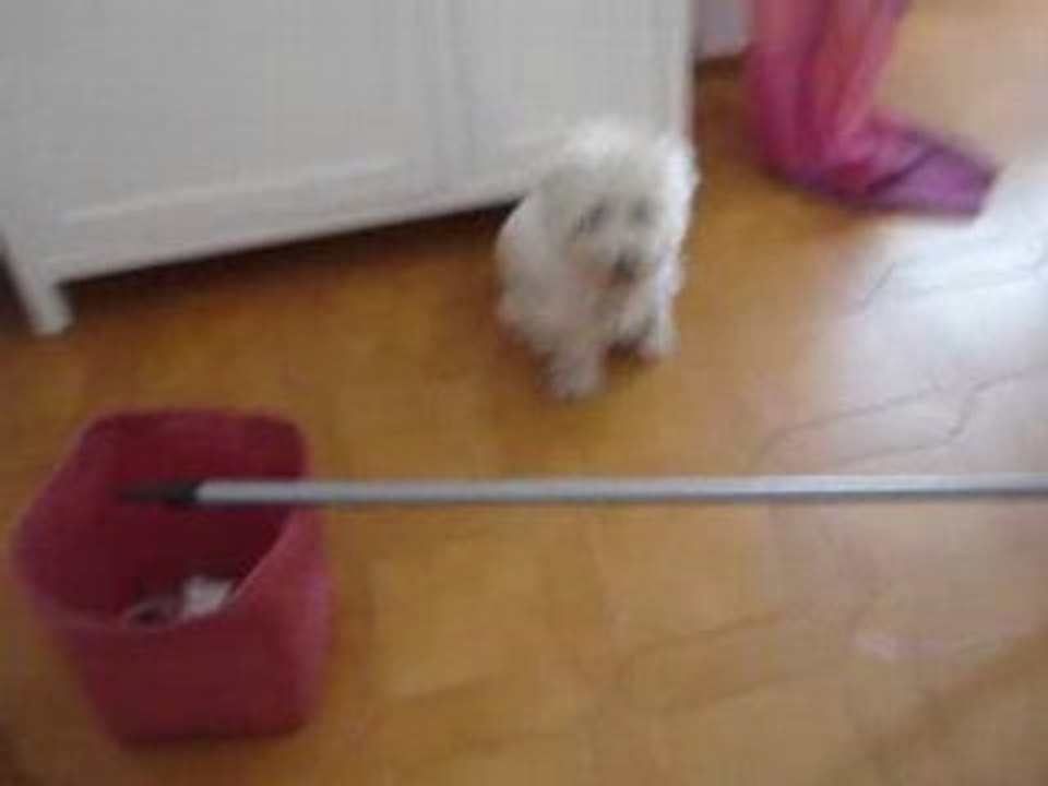 Eliott saut de puce x)