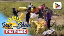 Fuel assistance sa mga magsasaka at mga mangingisda na naapektuhan ng oil price increase, inihahanda na