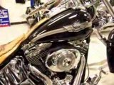 Harley Davidson Custom built by Hotshoe Customs