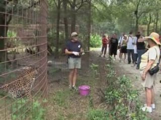 Big Cat Rescue - Keeper Tour