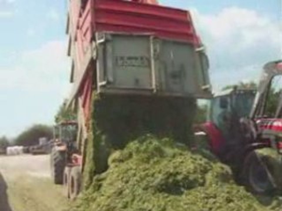 ENSILAGE DHERBE DIDIER