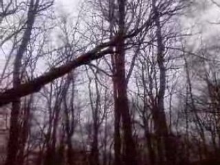 Super bucheron coupe un arbre qui tiens en equilibre