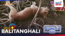 Regional TV News (September 24, 2026) | Balitanghali